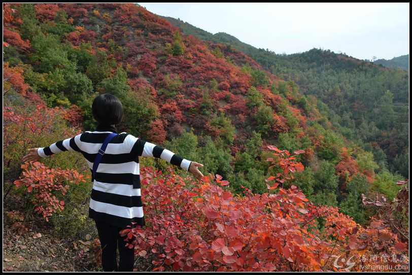 2017.10.21.济源七彩红叶岭 045.jpg