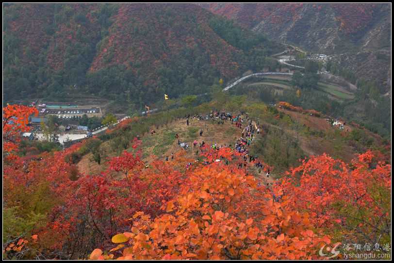 2017.10.21.济源七彩红叶岭 131.jpg