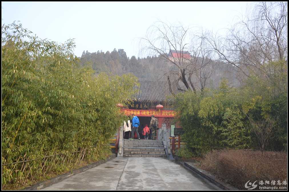 2017.1.8.焦作.月山寺 石头村 六郎寨.休闲1日 279.jpg