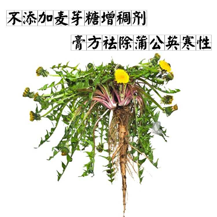 百德善蒲公英膏