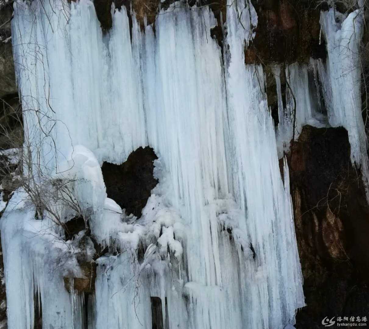 微信图片_20180122113151.jpg