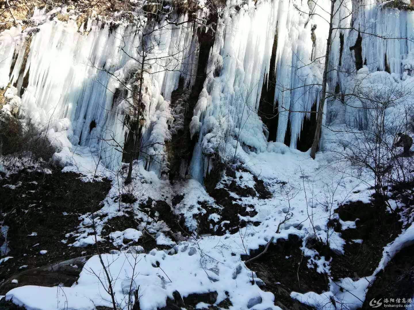 微信图片_20180122113207.jpg