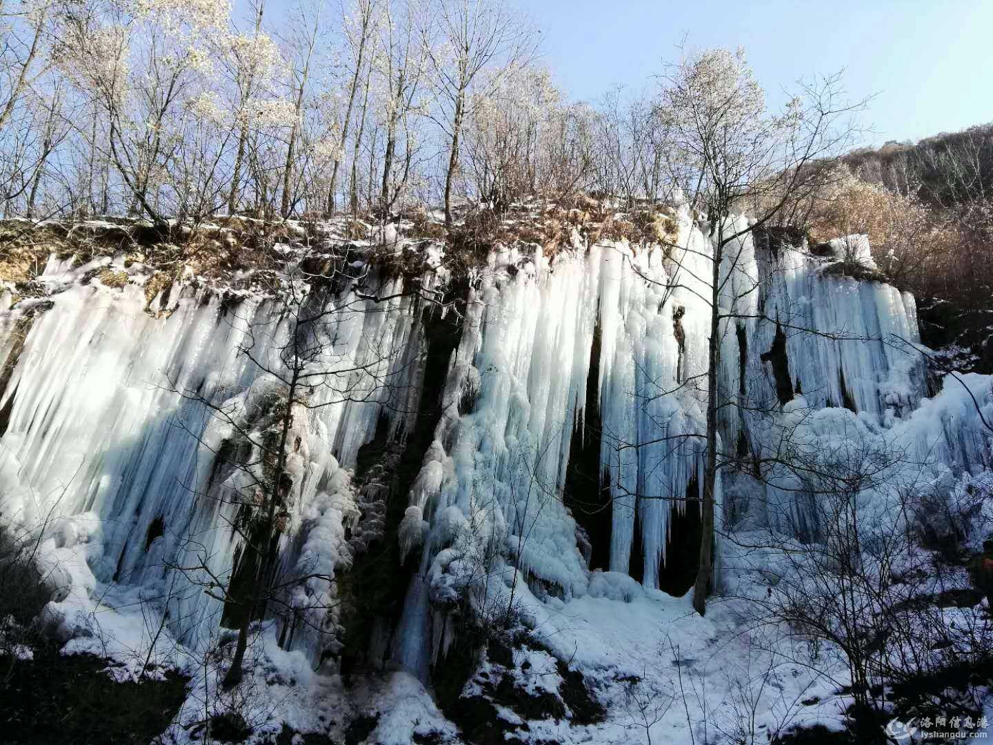 微信图片_20180122113212.jpg