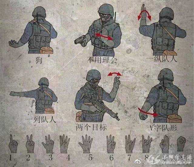 武警部队战术手语图片
