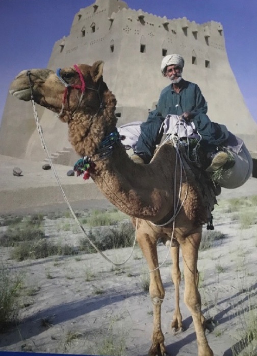 伊朗的骆驼.jpg