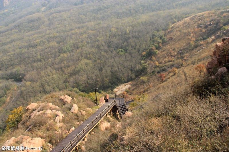 万安山叶秋景53.jpg