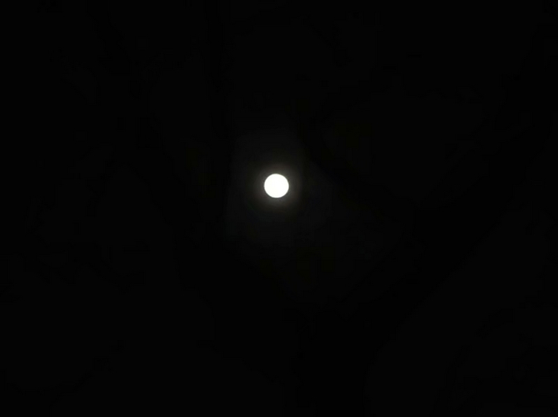 手机拍摄：月朗星稀夜景美1.jpg