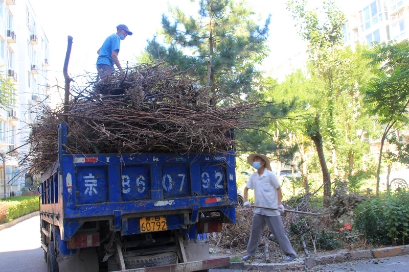 烈日炎炎似火烧，园林工人装车忙8.jpg