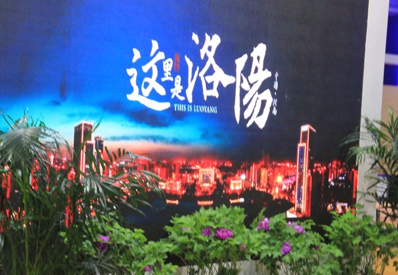 第三届中原国际文化旅游产业博览会随拍52.jpg