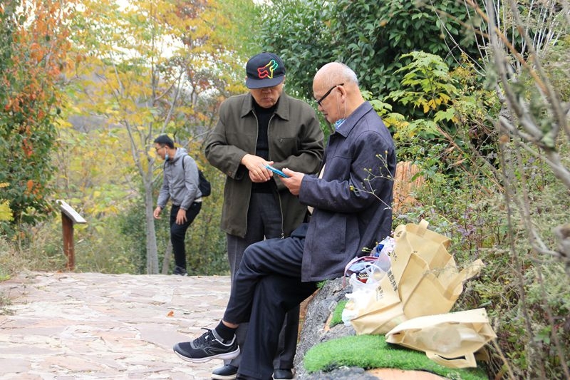 重阳登山抓拍：互教互学玩转智能手机5.jpg