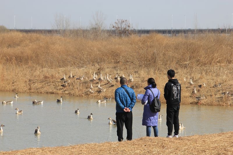 拦腰修建小浪底，清澈见底美景在36.jpg