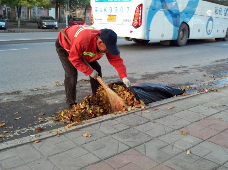 满地黄叶风景好，环卫工人很辛劳4.jpg