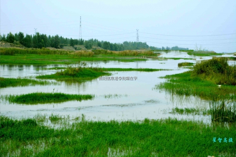 昔日墠渚湖鸭子湖风光.jpg