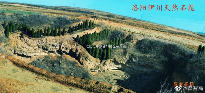 “炎黄子孙、龙的传人”的源头 伊川天然石龍1(1)(1).jpg