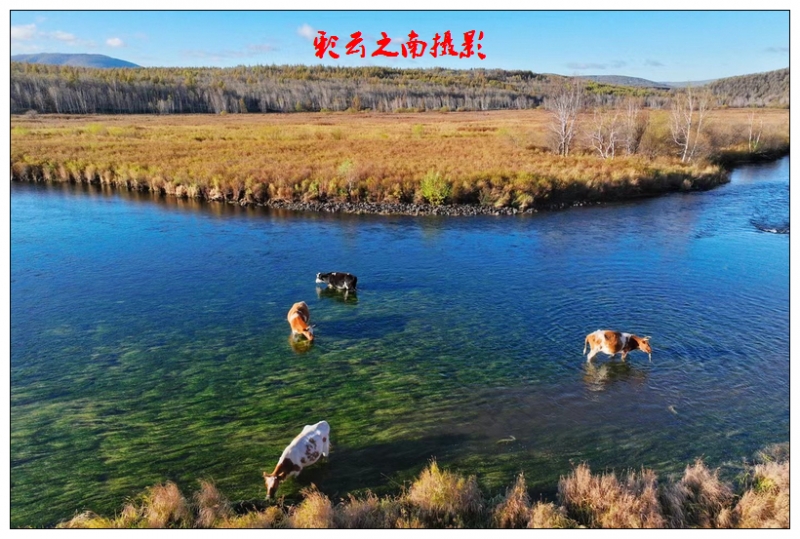 nEO_IMG_微信图片_20250803101244 - 副本.jpg