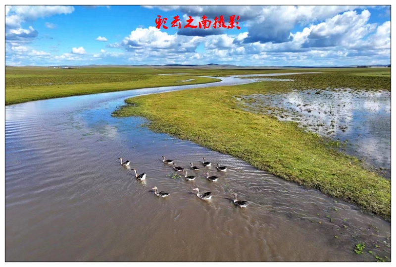 nEO_IMG_微信图片_20250803101540 - 副本.jpg