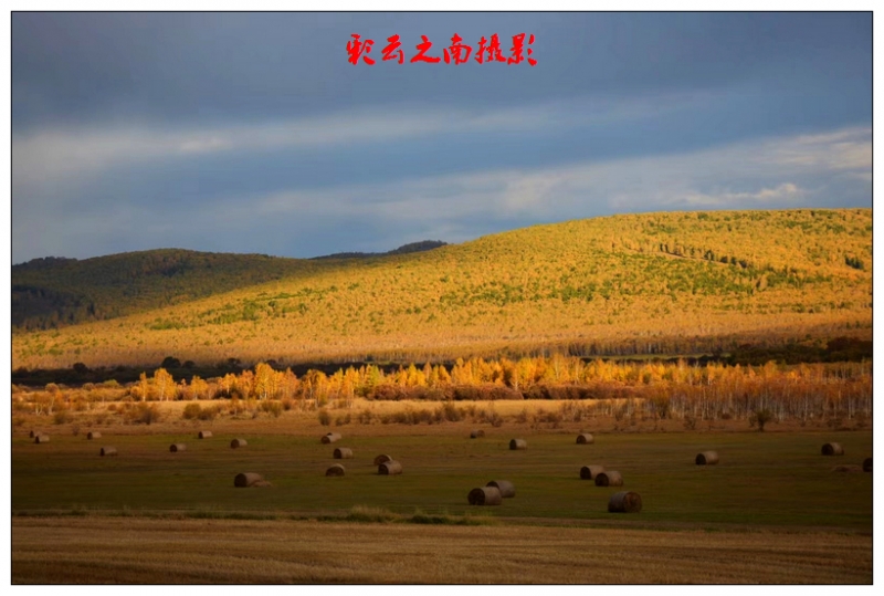 nEO_IMG_微信图片_20250803101620 - 副本.jpg