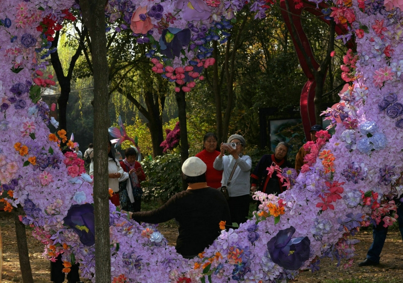 【光影瞬间】从政坊內风景美