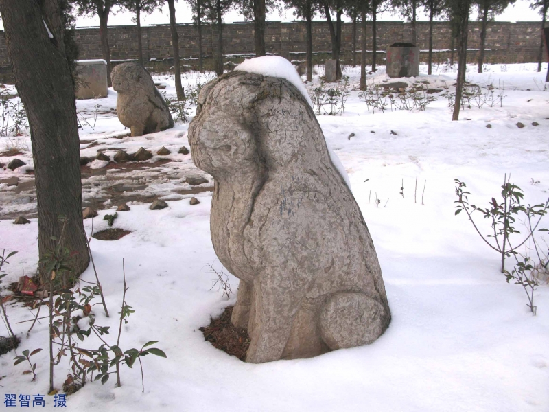 安乐佳城 石狮.jpg