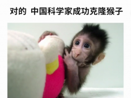 中国诞生世界首例克隆猴